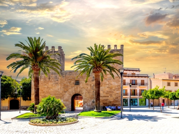 Expert Tips to Buying in Mallorca | The AgencyRe Mallorca