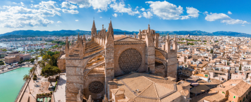 Where to Buy in Mallorca Expert Insights from The Agency's Top Professionals