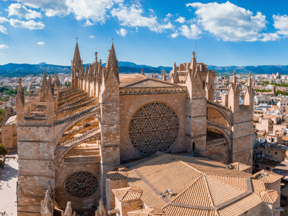 Where to Buy in Mallorca Expert Insights from The Agency's Top Professionals