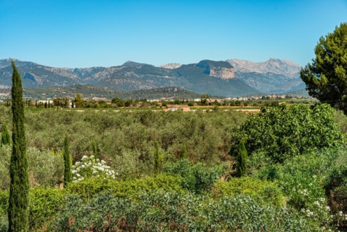 Where to Buy Property in Central Mallorca - The AgencyRE