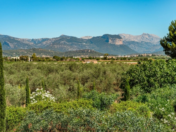 Where to Buy Property in Central Mallorca - The AgencyRE