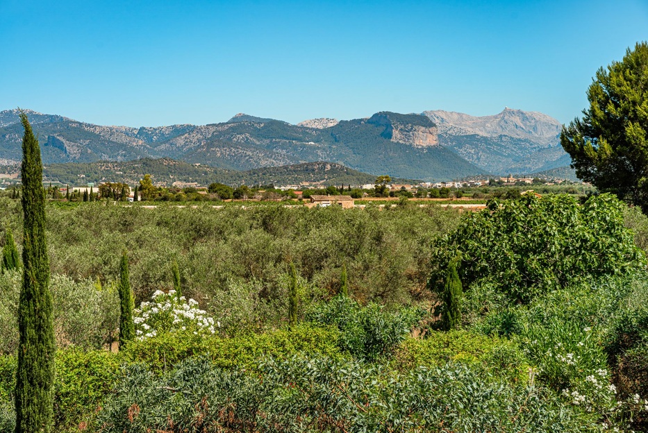 Where to Buy Property in Central Mallorca - The AgencyRE