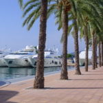 Luxury Marinas in Mallorca - The AgencyRE
