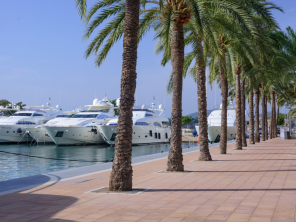 Luxury Marinas in Mallorca - The AgencyRE