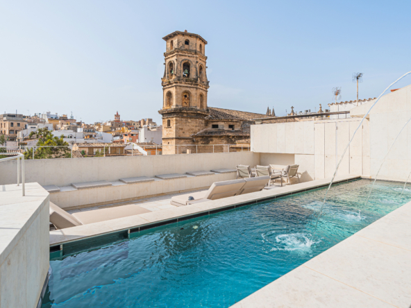 Buying Property in Palma Luxury Neighbourhood Guide
