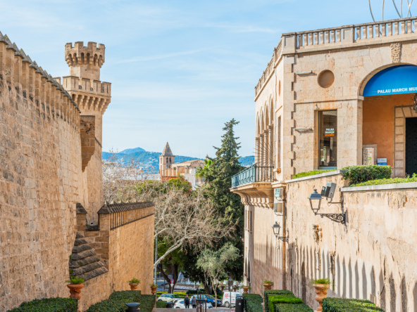 Living in Palma Neighbourhood & Lifestyle Guide