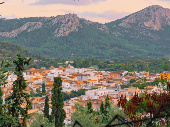 What's on in Mallorca October & November 2026